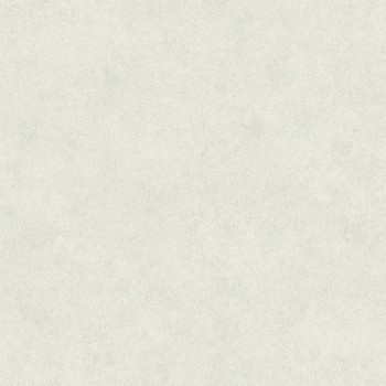 Casadeco - Utah Texdecor non-woven wallpaper 36-UTA29580503 bright-grey pattern