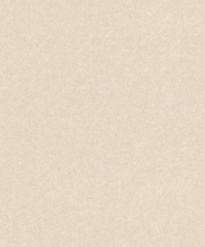 23-229461 Rasch Textil abaca cream white non-woven wallpaper pattern