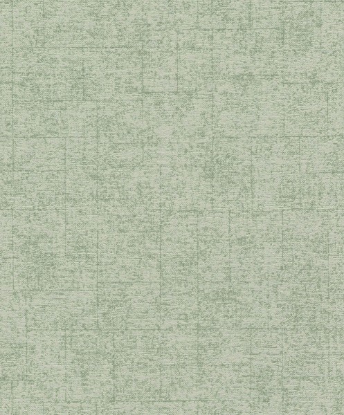 fine pattern green non-woven wallpaper Rasch wallpaper change 2 507843