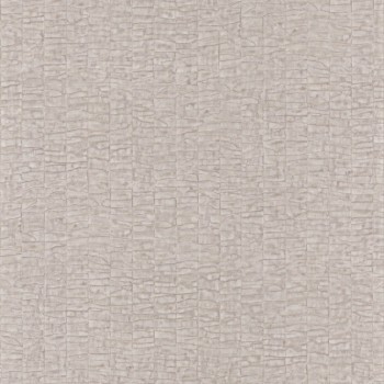 Wallpaper beige-grey bark