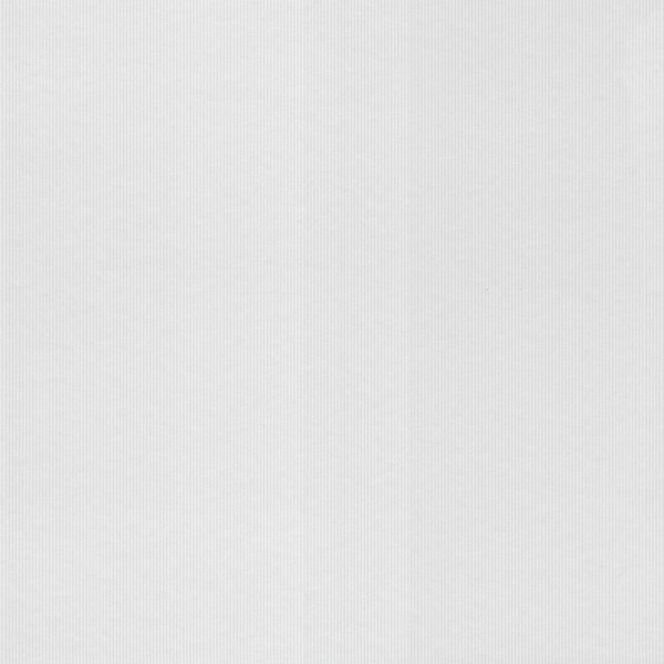 line pattern white non-woven wallpaper Sophia Rasch 710243