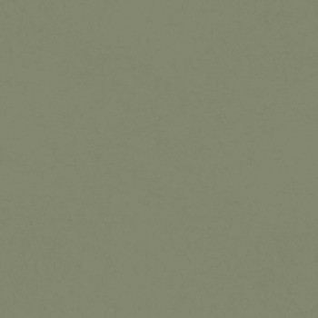 non-woven wallpaper unisex green 077007