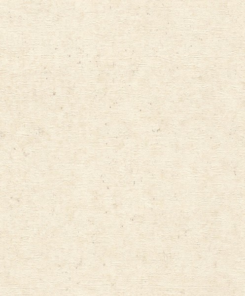 plaster look beige non-woven wallpaper Concrete Rasch 520835