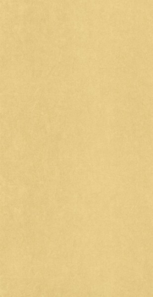 Farbig beige Vliestapete Mediterranee Casadeco MEDI82382375