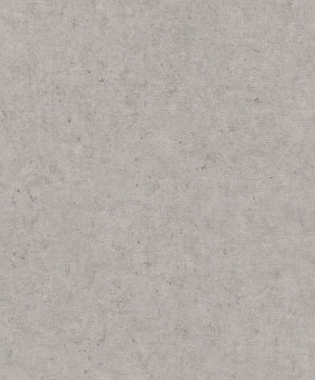 Betonoptik grau Vliestapete Concrete Rasch 520866