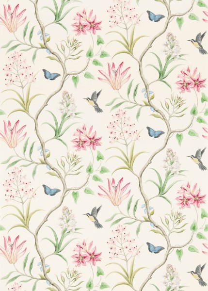 Kolibris und Blüten beige Papiertapete Sanderson - One Sixty DVOY213388