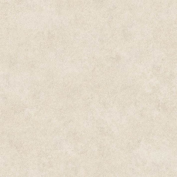 Texdecor Casadeco - Utah 36-UTA29581218 Muster Vliestapete beige-grau