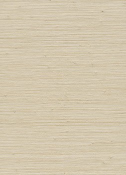 Beige Papiertapete Webmuster Vista 6 Rasch Textil 213903