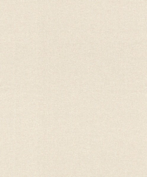 Abaca 23-229249 Rasch Textil beige matt non-woven wallpaper structured