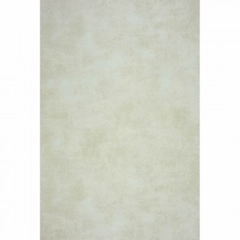 36-PALA26901147 Texdecor Casadeco - Palazzo beige creme Vliestapete Uni