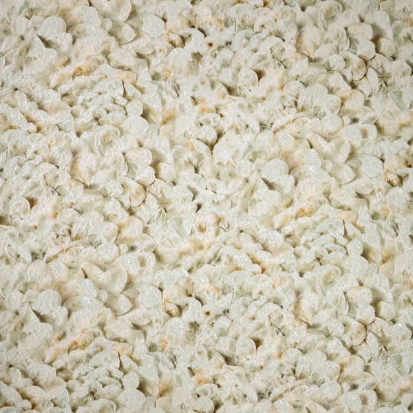 Lebendiges Muster Vliestapete beige Salt Hohenberger 65304-HTM