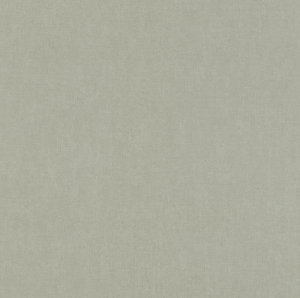 matt background gray non-woven wallpaper Sophia Rasch 552744