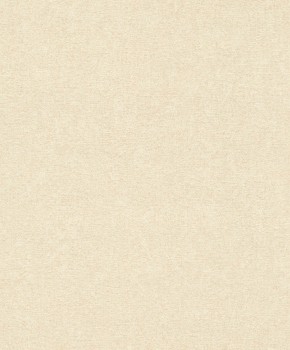 Textilstruktur beige Vliestapete Composition Rasch 554441 _L