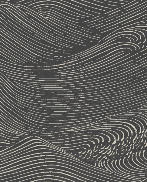 55-386532 Eijffinger Enso waves non-woven wallpaper black