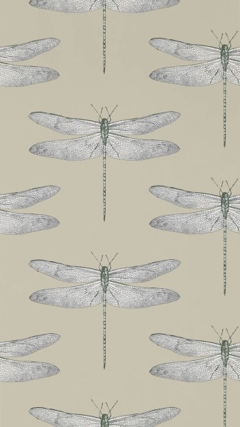 Dragonfly Pattern Beige Wallpaper Sanderson Harlequin - Color 1 HGAT111241