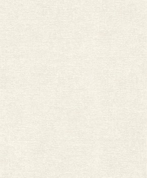 zartes Putzmuster beige Vliestapete Rasch Tapetenwechsel 2 507812