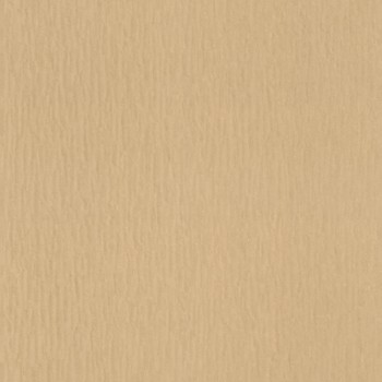 monochrome vinyl wallpaper light brown Trianon 13 Rasch 570076