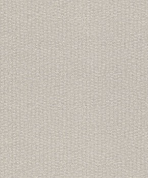 Rasch Textil Abaca 23-229324 hellgrau schimmernd Vliestapete